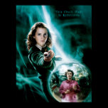 Hermione Granger och professor Umbridge affischer