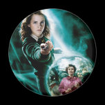 Hermione Granger och professor Umbridge magneter