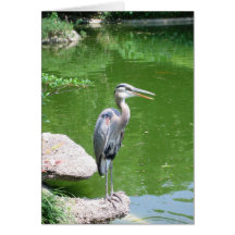 Heron Hälsningskort