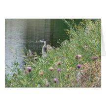 Heron i busen hälsnings kort