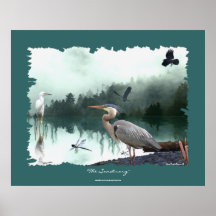 Herons Egret, kråkor, sländor, vildmarkkonst Posters