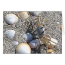 Herr krabba på enfylld strand kort