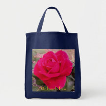 Herr Lincoln steg Tote Bags