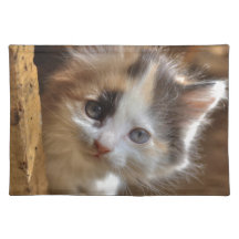 HeterochromiaCalicokattunge Bords Underlägg