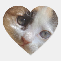 HeterochromiaCalicokattunge Hjärtklistermärken