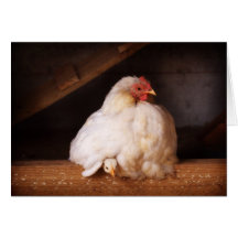 hetty&chick kort