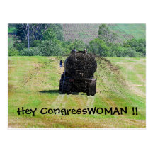 Hey Congresswomanvykort