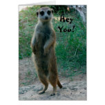 Hey dig Meerkat födelsedagkort