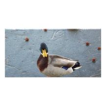 Hey vem dig tänker ditt som tittar? anpassingsbara fotokort
