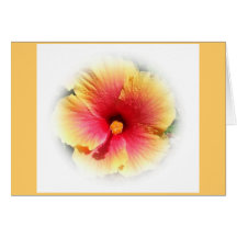 Hibiskus Kort