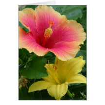 Hibiskus- och daglilja hälsnings kort