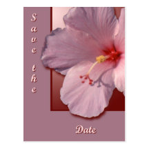 Hibiskus Vykort