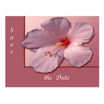 Hibiskus Vykort