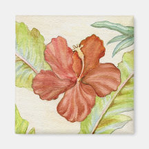 Hibiskusblommamagnet Magnet För Kylskåp