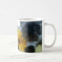 Himalayan kattunge med den gula blomman kaffe mugg