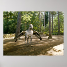 Hippogriff Affisch