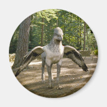 Hippogriff Magneter