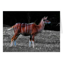 Hjort Kudu Hälsnings Kort