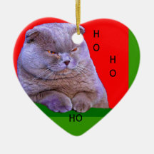 HO HO HO JULKATTPRYDNAD JULGRANSKULA