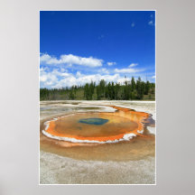 Hoat fjädra posters