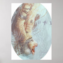 Hogmonaut Print