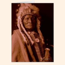 Högväxt Whiteman - Cheyenne kort