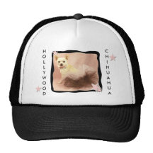 Hollywood Chihuahuahatt Trucker Kepsar
