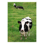 Holstein ko anpassade inbjudningskort