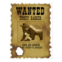 Honey badger önskad affisch vykort