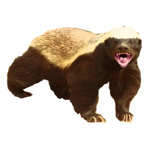 Honey badger photo cut out