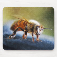 Honeybee Musmattor