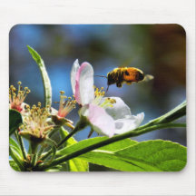 Honungbi Mousepad Musmattor