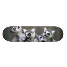 HOPPA LEMURS SKATE BOARD DECKS