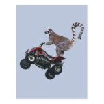 Hoppa Lemurvykortet
