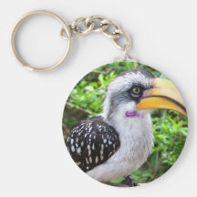 Hornbill bird close up looking at camera keychains