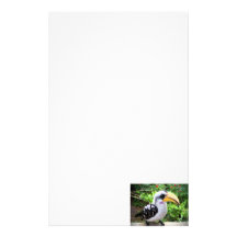 hornbill painting bird sideways stationery