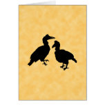HornbillBirds. Kort