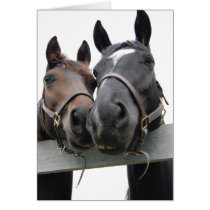 Horse-Love-1 kort