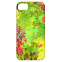"Höst färger ", iPhone 5 Cases