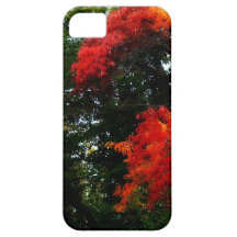 Höst färger iPhone 5 skal