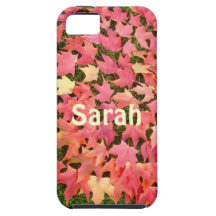 Höst löv för cases för iPHONE 5 för personlig känd iPhone 5 Fodraler
