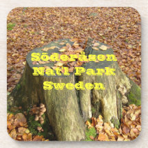 Höst på den Söderåsen nationalparken Glas Underlägg