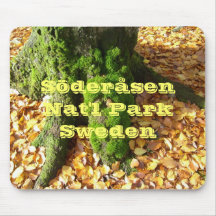 Höst på den Söderåsen nationalparken Mus Matta