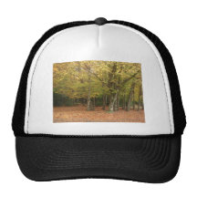 Höstträd Baseball Hat
