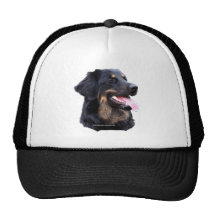 hovawartzwart/blont baseball hat