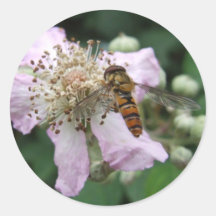 Hoverfly klistermärkear