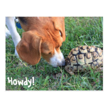Howdy! Vykort
