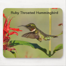 Hummingbird för Ruby för musblock throated Musmatta