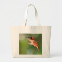 Hummingbird Kassar