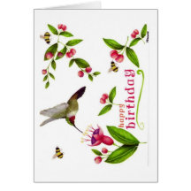 Hummingbird Kort